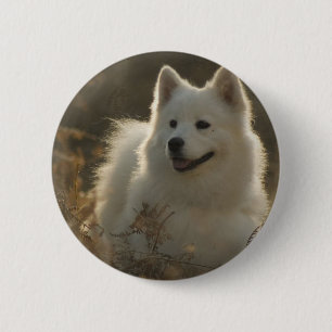 Badge Rond 5 Cm Pin rond de race de chien de Samoyed