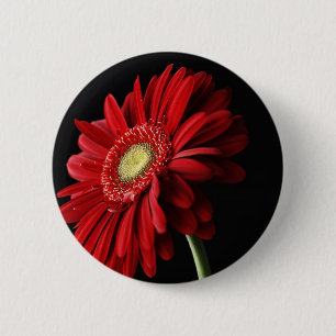 Badge Rond 5 Cm Pin rouge de marguerite de Gerber