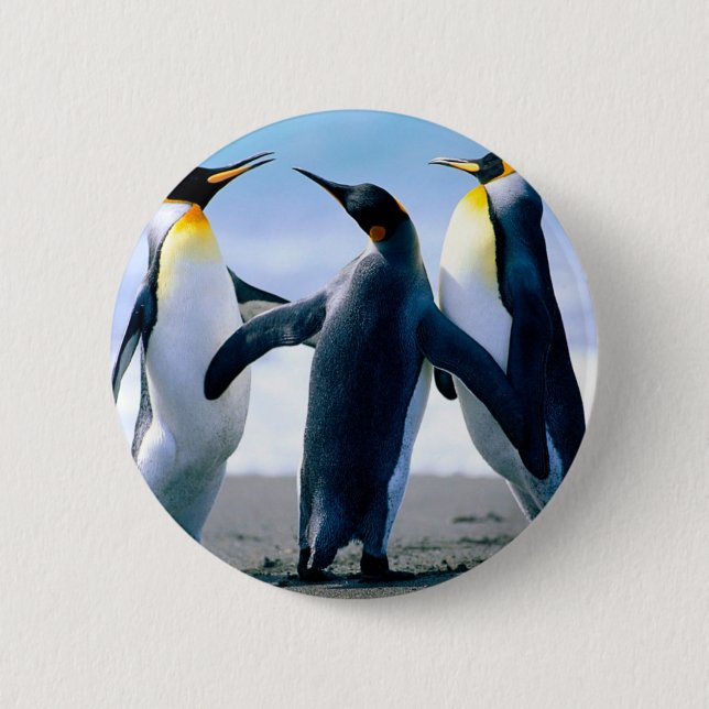 Badge Rond 5 Cm Pingouins (Devant)