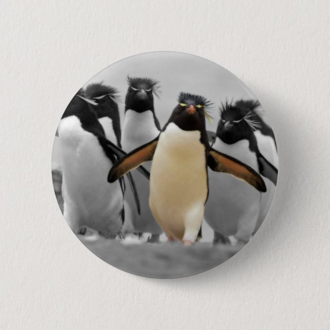 Badge Rond 5 Cm Pingouins de Rockhopper (Devant)