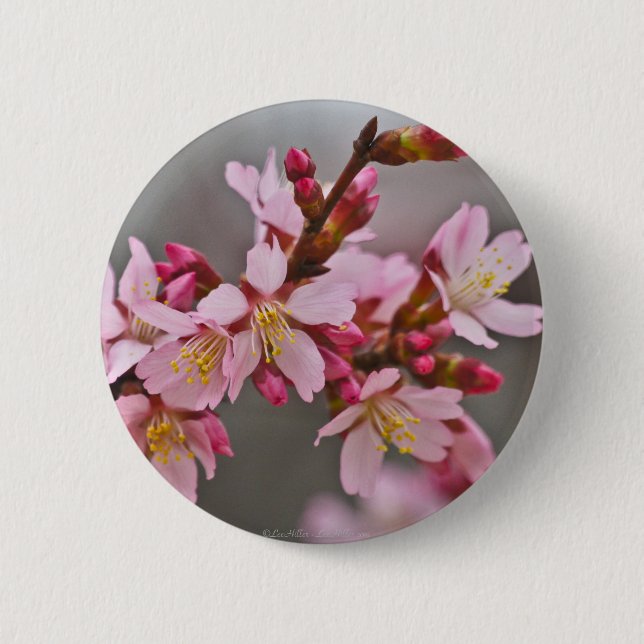 Badge Rond 5 Cm Pink Against A Gray Sky Japanese Cherry Blossoms (Devant)
