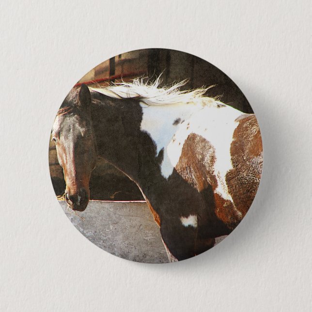 Badge Rond 5 Cm Pinto Horse (Devant)