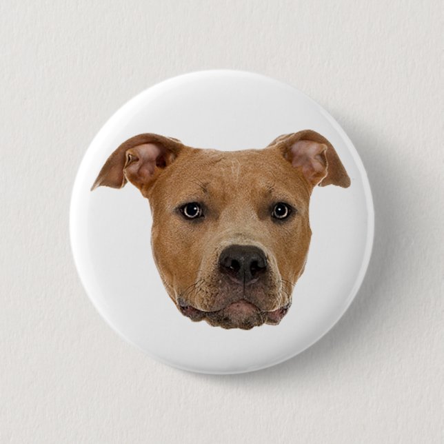 Badge Rond 5 Cm Pitbull Chien (Devant)