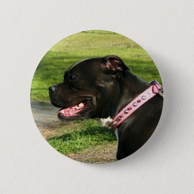 Badge Rond 5 Cm Pitbull noir (Devant)