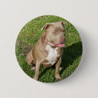 Badge Rond 5 Cm Pitbull paisible