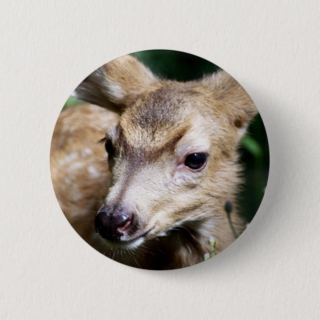 Badge Rond 5 Cm Plan rapproché de cerfs communs (Devant)