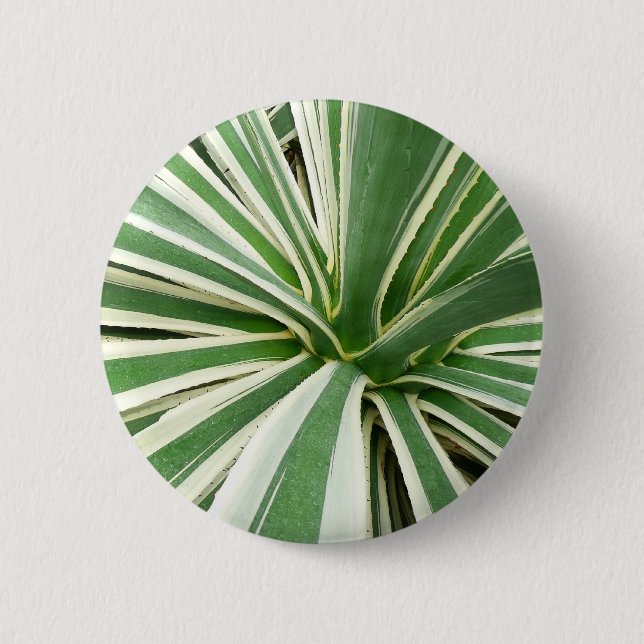 Badge Rond 5 Cm Plante Agave Vert et blanc rayé (Devant)