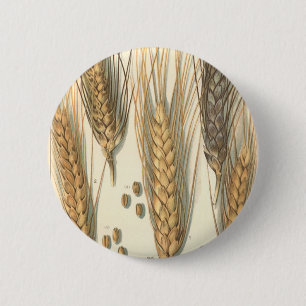 Badge Rond 5 Cm Plante de blé résistante à la sécheresse, agricult