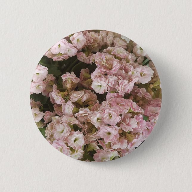 Badge Rond 5 Cm Plante rose Kalanchoe (Devant)