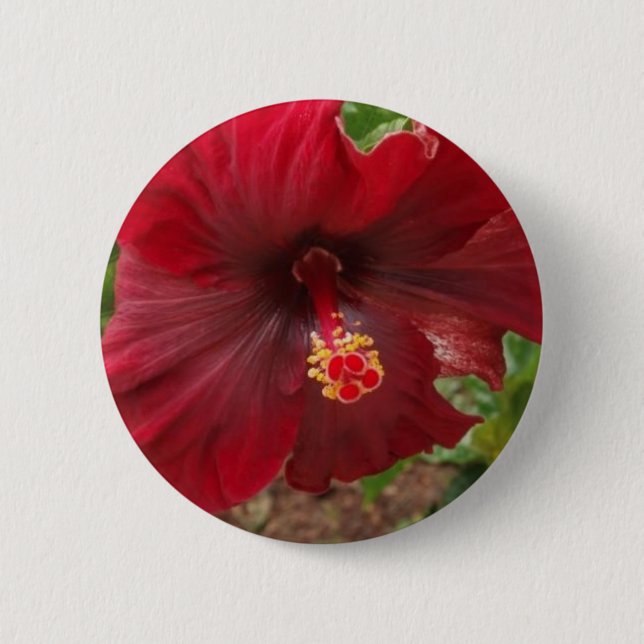 Badge Rond 5 Cm plante rouge de ketmie d'Hawaï (Devant)