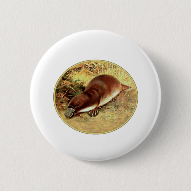 Badge Rond 5 Cm Platype (Devant)
