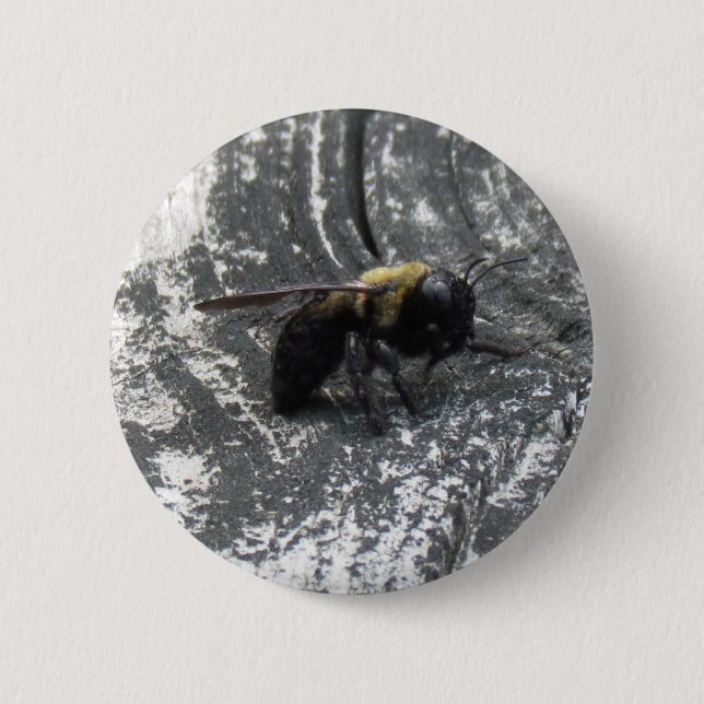 Badge Rond 5 Cm Pludrops (Devant)