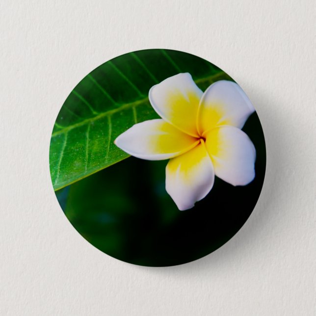 Badge Rond 5 Cm Plumeria (Devant)