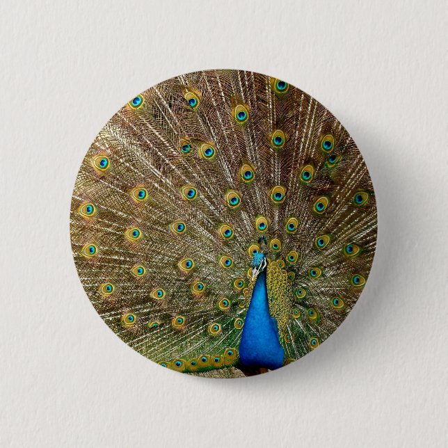 Badge Rond 5 Cm Plumes de queue de paon (Devant)
