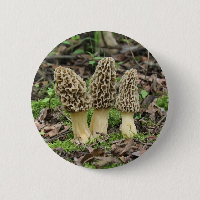 Badge Rond 5 Cm Plus de morelles (Devant)
