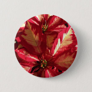 Badge Rond 5 Cm Poinsettia rose