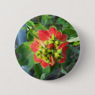 Badge Rond 5 Cm Poinsettia sauvage