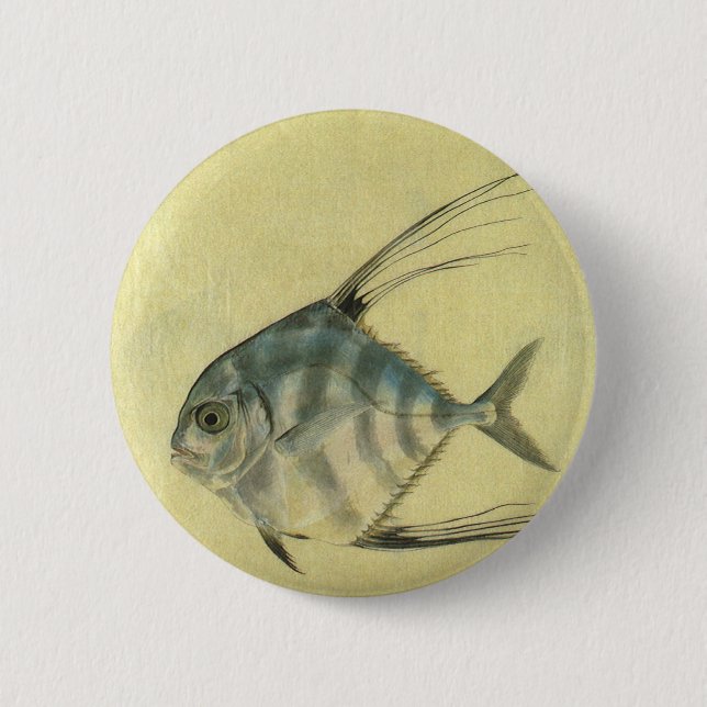 Badge Rond 5 Cm Poisson Alectis indicus, Carangue à trois épines v (Devant)
