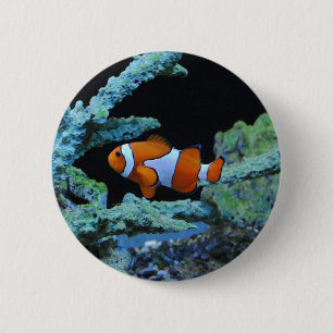 Badge Rond 5 Cm Poisson clown en corail