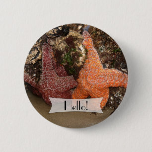 Badge Rond 5 Cm Poisson étoilée colorée personnalisée/Etoile marin