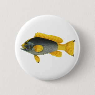 Badge Rond 5 Cm Poisson Groupeur Bleu et Jaune, Vie Marine Vintage