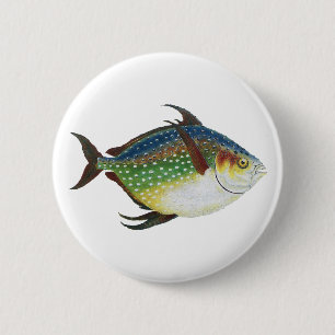 Badge Rond 5 Cm Poisson lunaire tropical, animal aquatique marin v