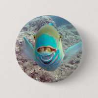 Poisson perroquet Hawaii