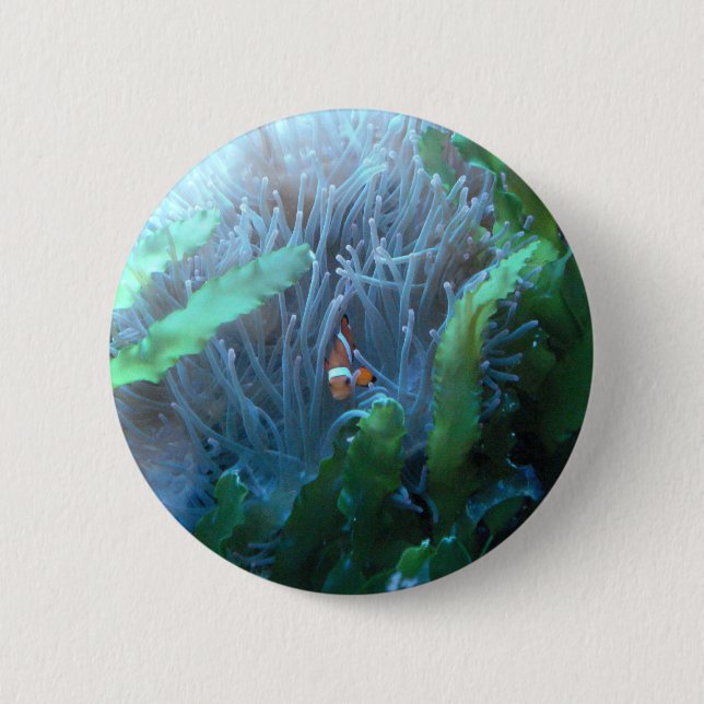 Badge Rond 5 Cm Poissons de clown (Devant)