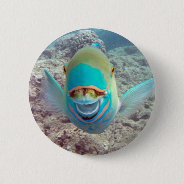 Badge Rond 5 Cm Poissons de perroquet d'Hawaï (Devant)