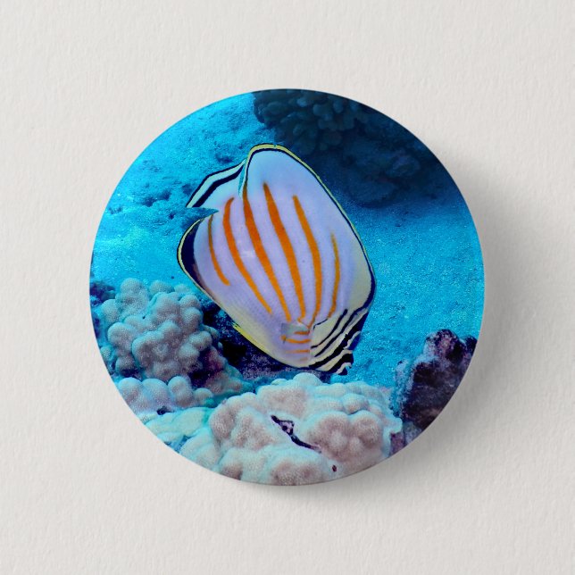 Badge Rond 5 Cm Poissons tropicaux (Devant)