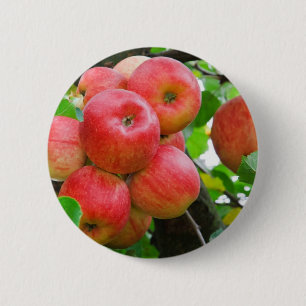 Badge Rond 5 Cm Pommes rouges dans l'arbre