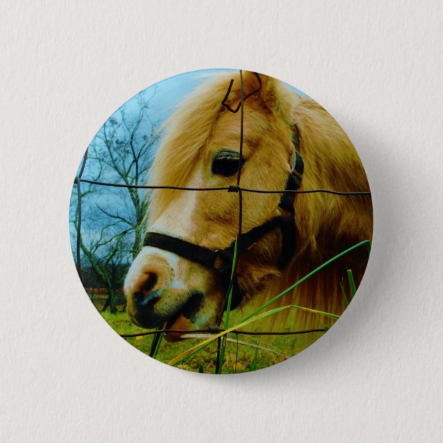 Badge Rond 5 Cm Pony miniature blond / Cheval Ciel bleu (Devant)