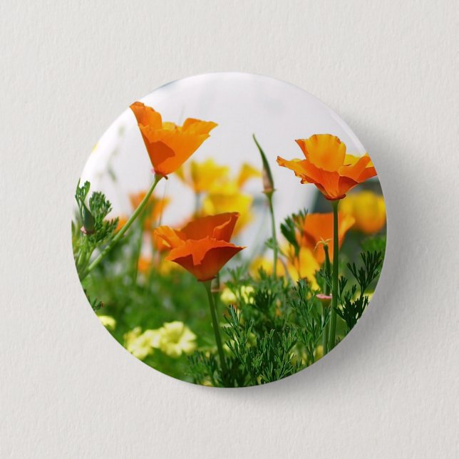 Badge Rond 5 Cm Poppies de Californie (Devant)