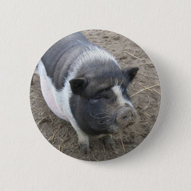 Badge Rond 5 Cm Porc gonflé par pot (Devant)