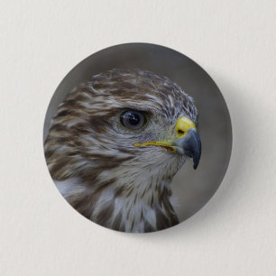Badge Rond 5 Cm Portrait commun Buzzard