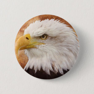 Badge Rond 5 Cm Portrait de Bald Eagle