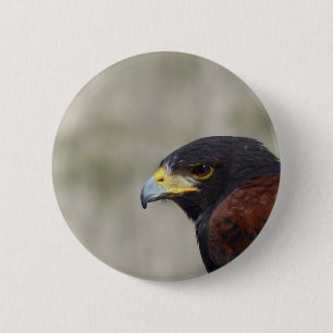 Badge Rond 5 Cm Portrait de Buse de Harris