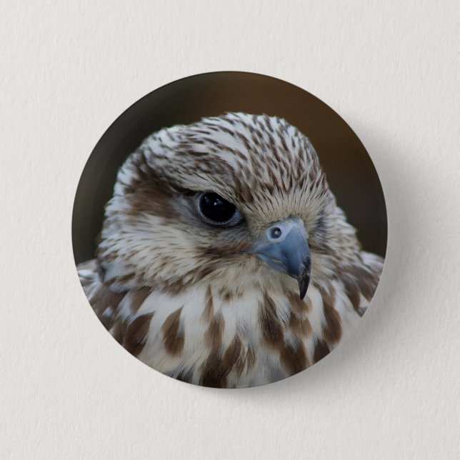 Badge Rond 5 Cm Portrait de Falco cherrug (Devant)