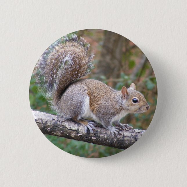 Badge Rond 5 Cm Pose d'écureuil (Devant)