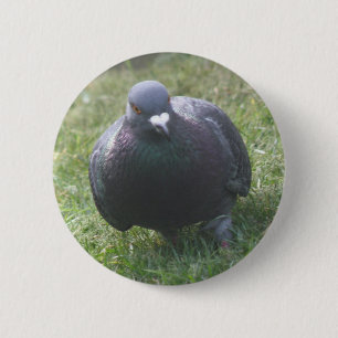 Badge Rond 5 Cm Poser le bouton Pigeon