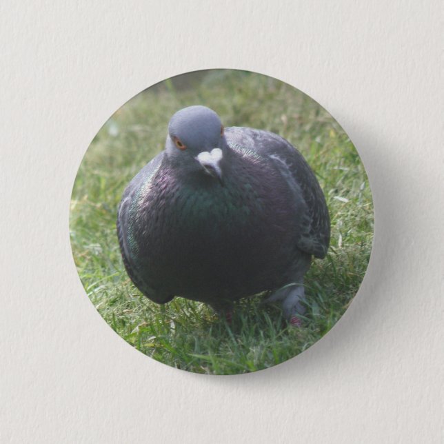 Badge Rond 5 Cm Poser le bouton Pigeon (Devant)