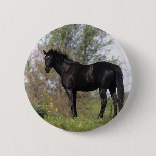 Badge Rond 5 Cm Position de cheval de pur sang