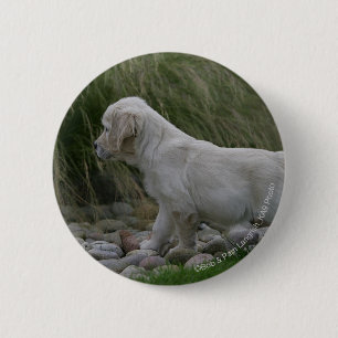 Badge Rond 5 Cm Position de chiot de golden retriever