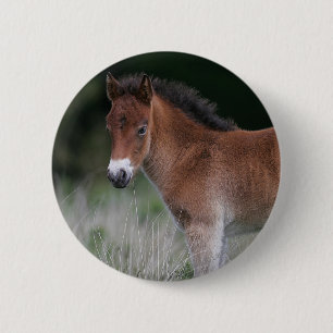 Badge Rond 5 Cm Position de poulain
