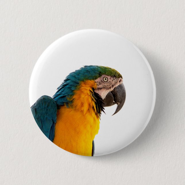 Badge Rond 5 Cm Post-it Notes perroquet (Devant)