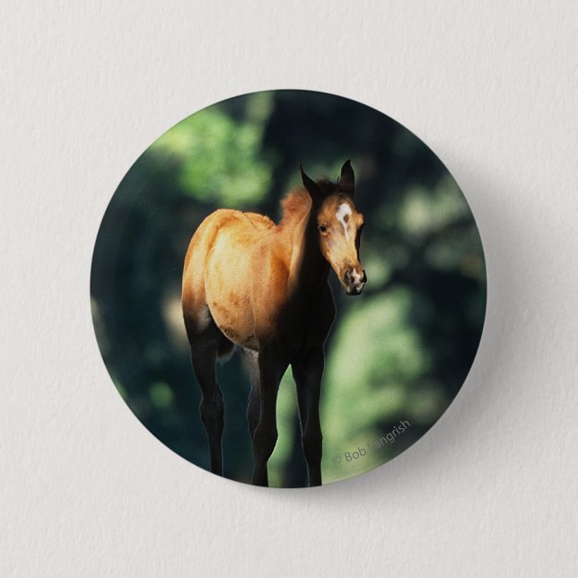 Badge Rond 5 Cm Poulain arabe dans les arbres (Devant)
