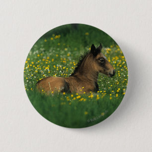 Badge Rond 5 Cm Poulain fixant en fleurs