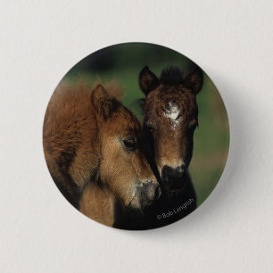 Badge Rond 5 Cm Poulains 2 de miniature