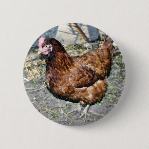 Badge Rond 5 Cm Poule Brown sur l'arrière cour