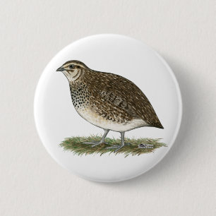 Badge Rond 5 Cm Poule de cailles de Coturnix